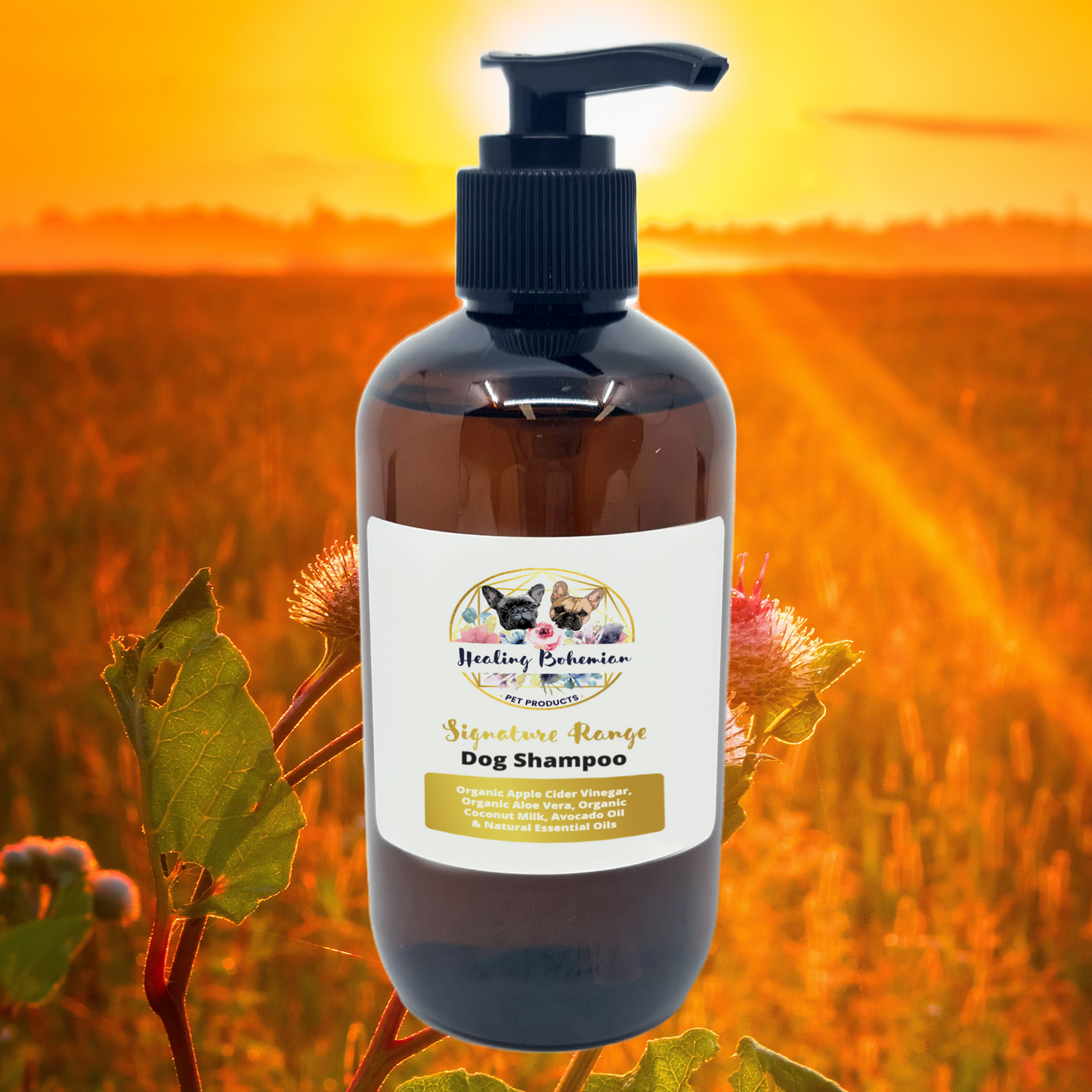 Shampoo - Signature Range