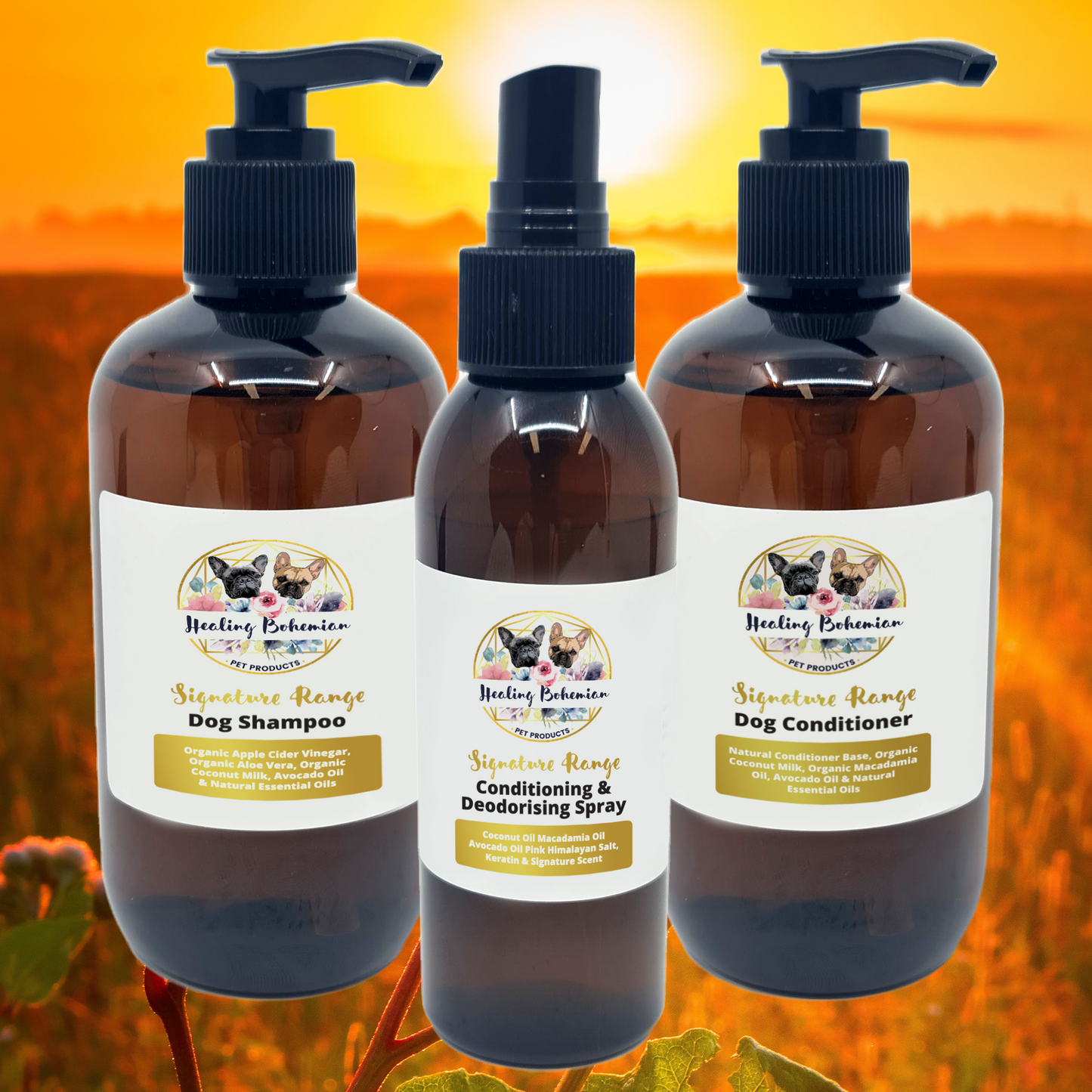 Signature Range Package $50 Pack Shampoo/Conditioner/Spray